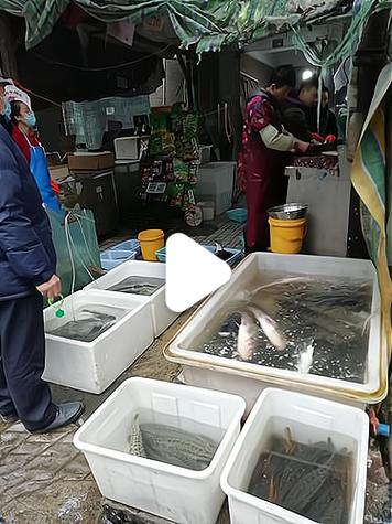 鱼你一起加盟多少钱开个加盟菜场多少钱加盟费用_